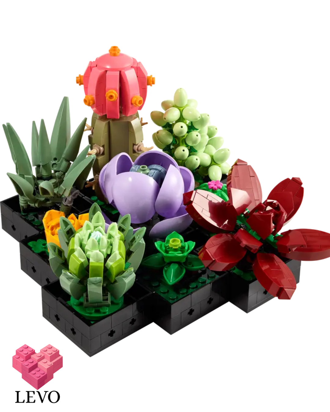 דגם עציצים מדבריים- 771 חלקים