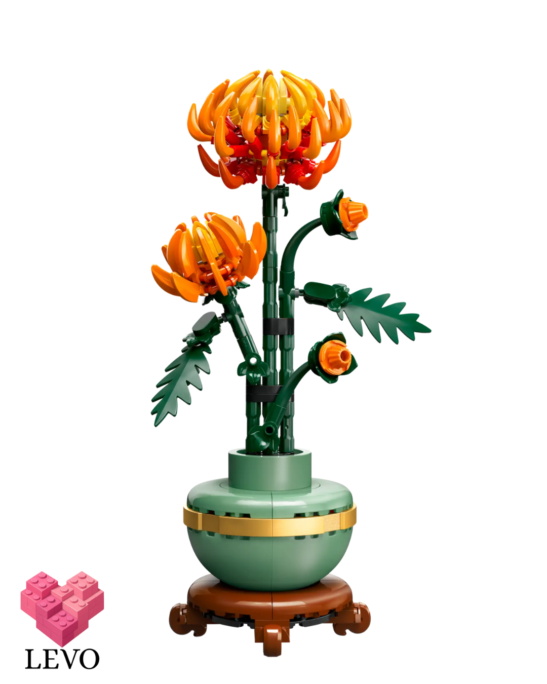 עציצים צבעוניים-4 דגמים