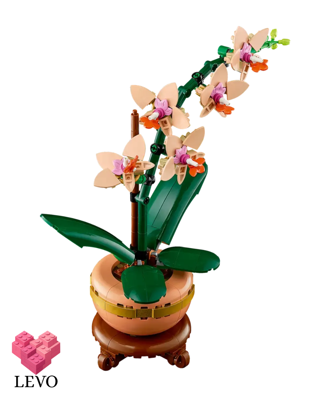 עציצים צבעוניים-4 דגמים