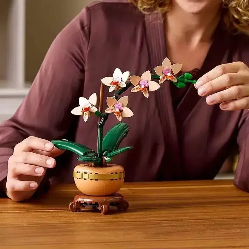 עציצים צבעוניים-4 דגמים