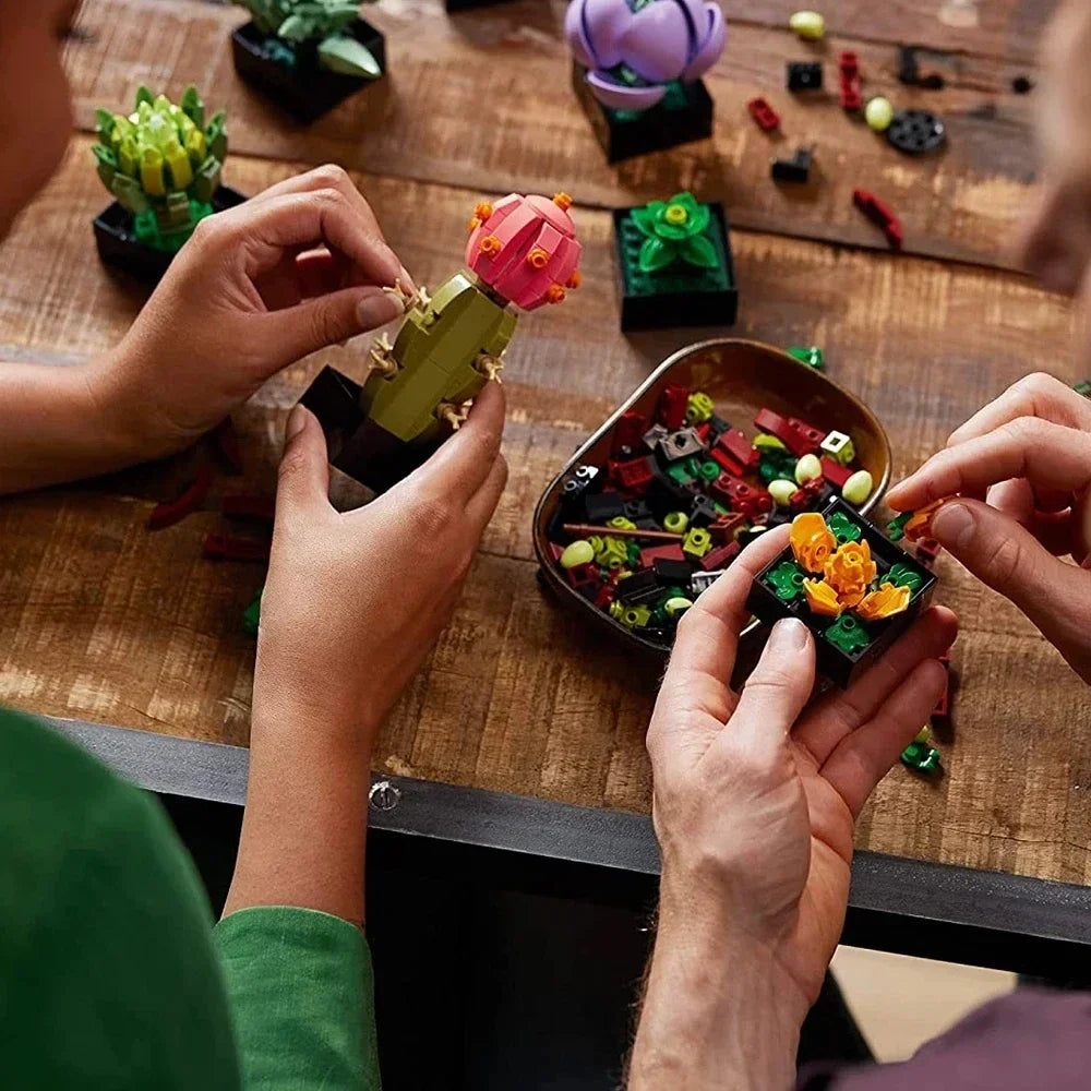 דגם עציצים מדבריים- 771 חלקים