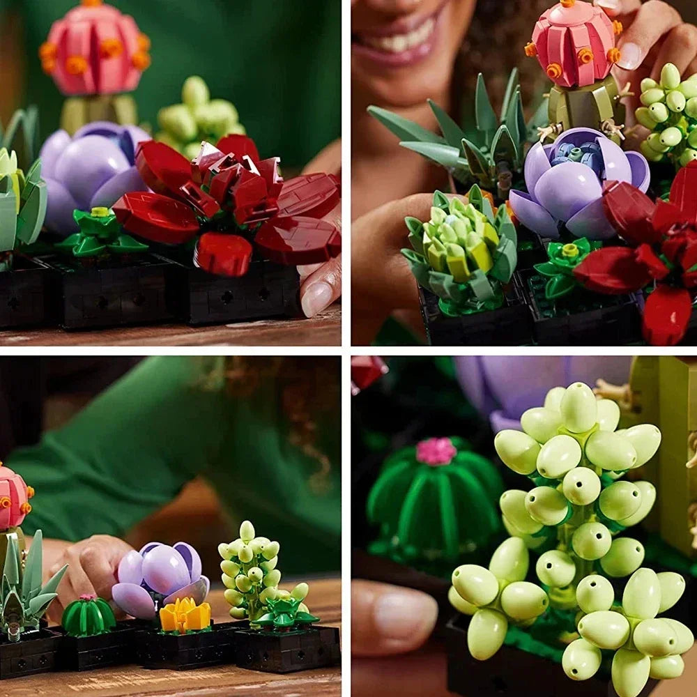 דגם עציצים מדבריים- 771 חלקים