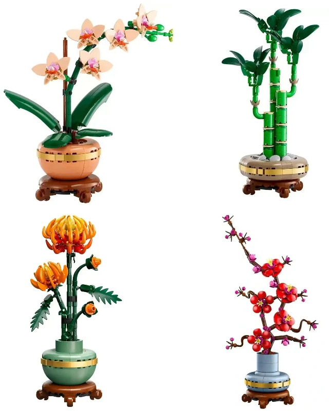 עציצים צבעוניים-4 דגמים