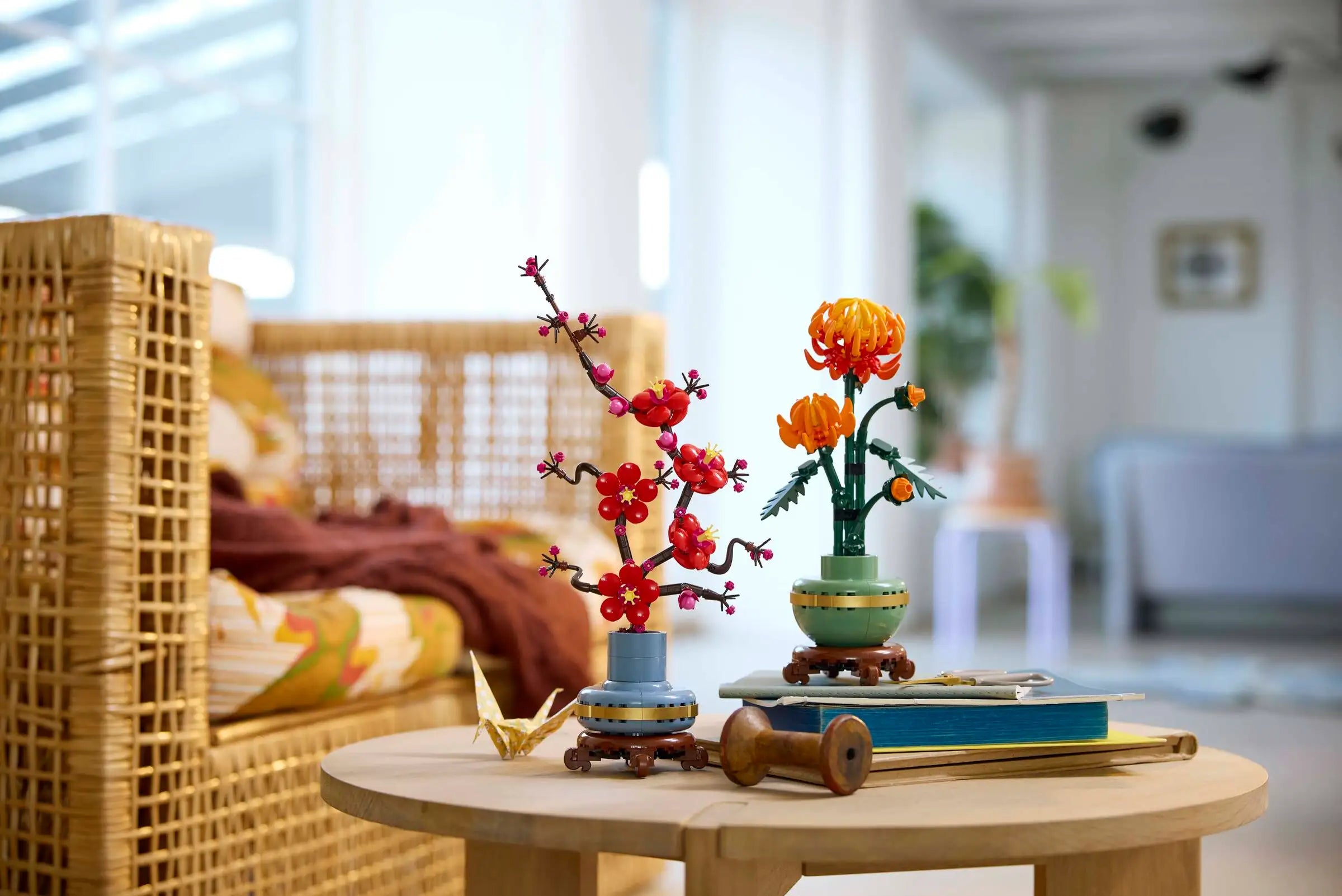 עציצים צבעוניים-4 דגמים